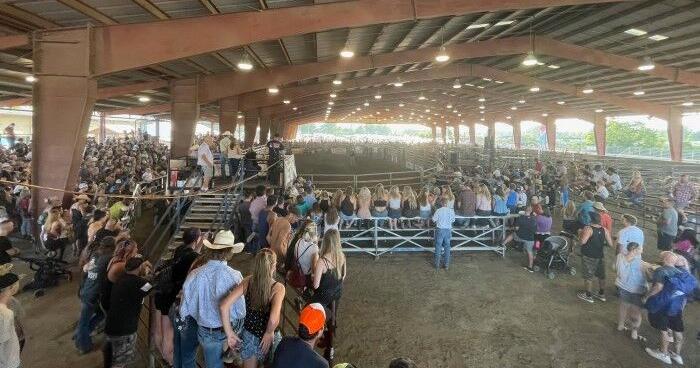 Virus Equino de EUA: La Incompetencia Gringa Amenaza a México