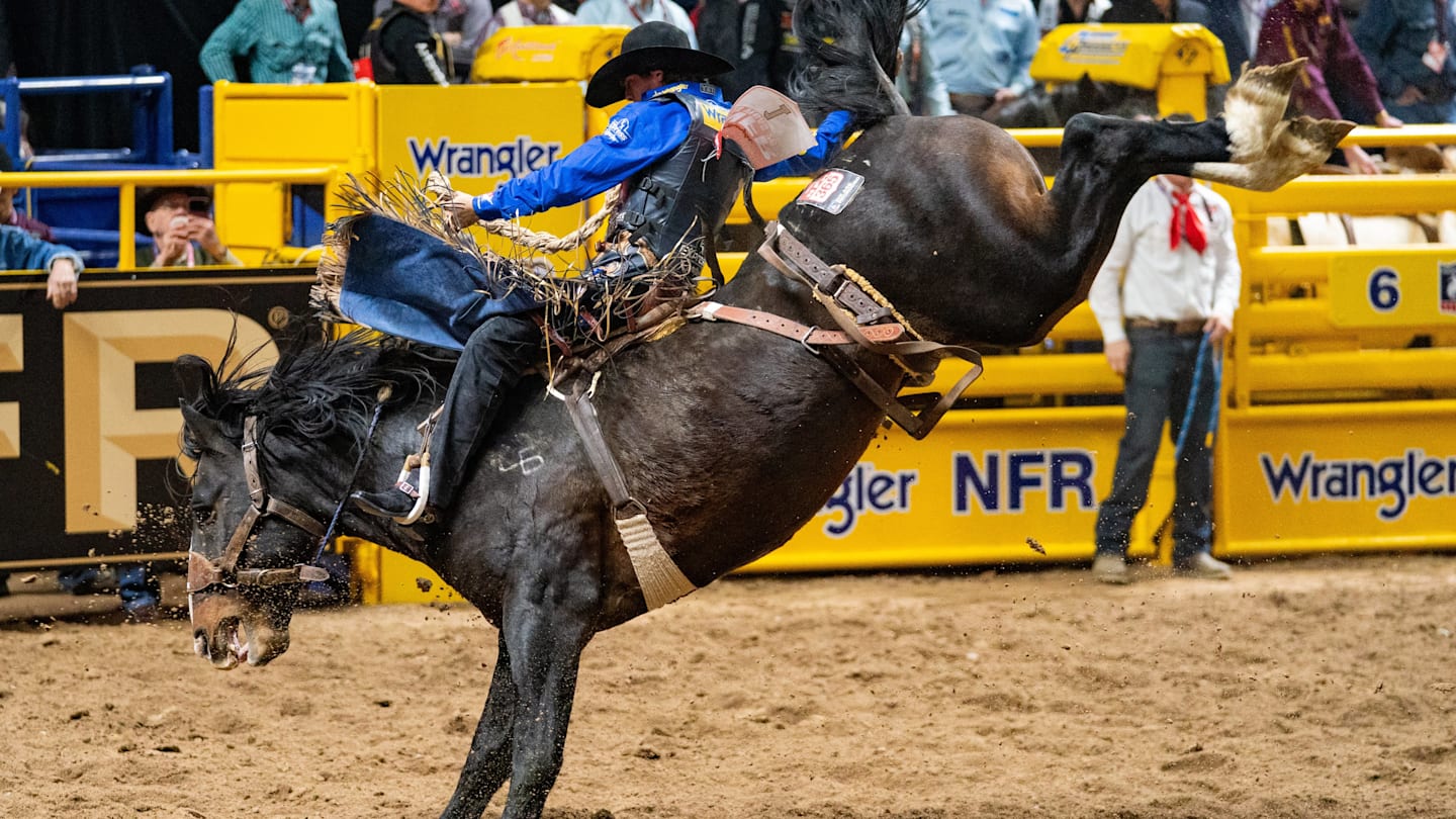 La NFR de Las Vegas: Gringos Domados por Dinastías