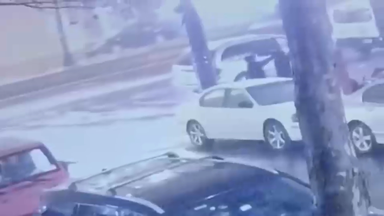 Tiroteo en Brooklyn: La Falla Predictible del Activismo Social