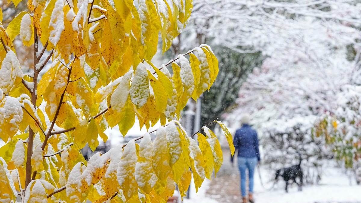 Alerta de Nieve en Ohio Destapa Colapso Inminente