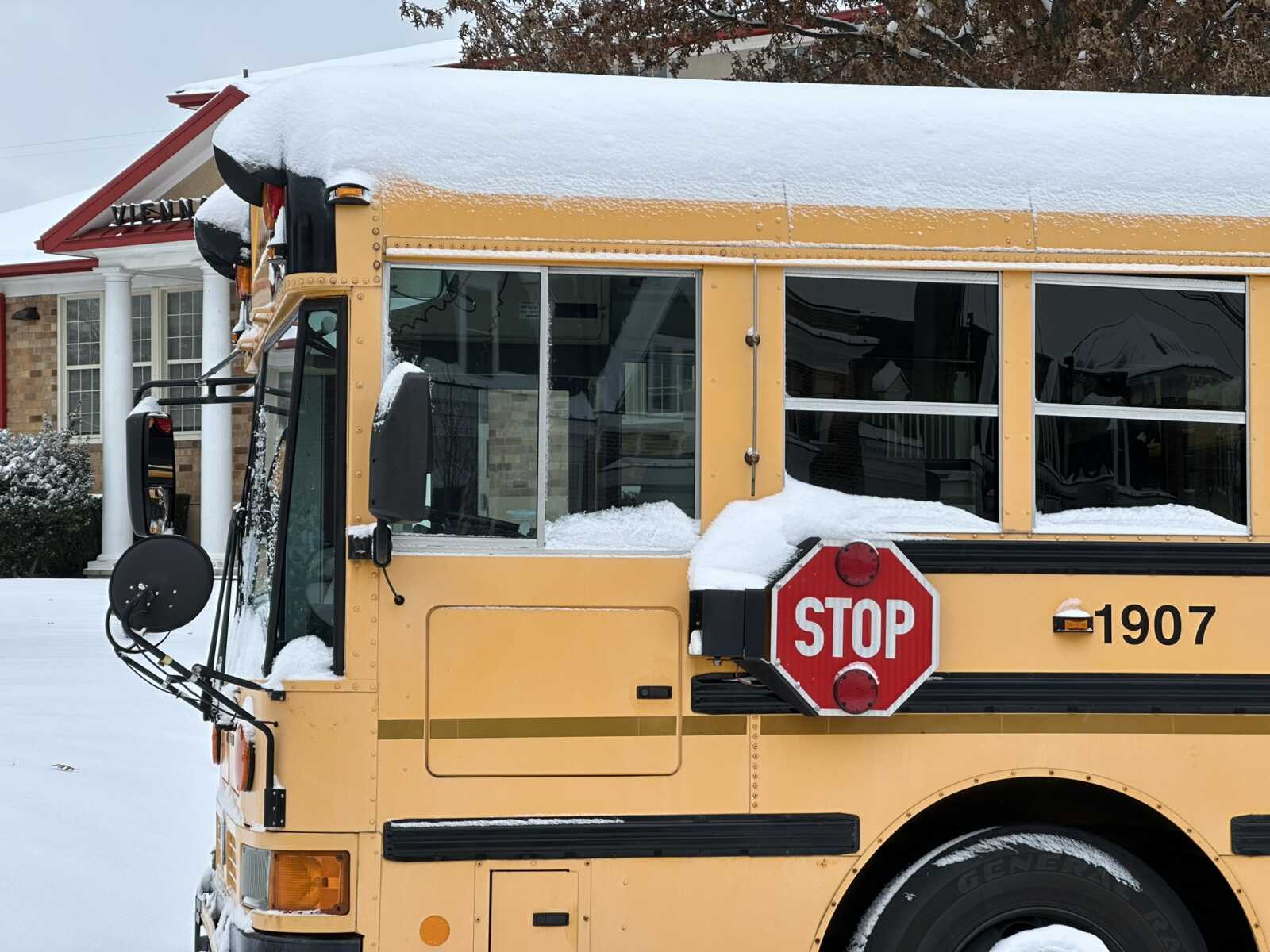Pánico por Nieve: El Circo de los Gringos