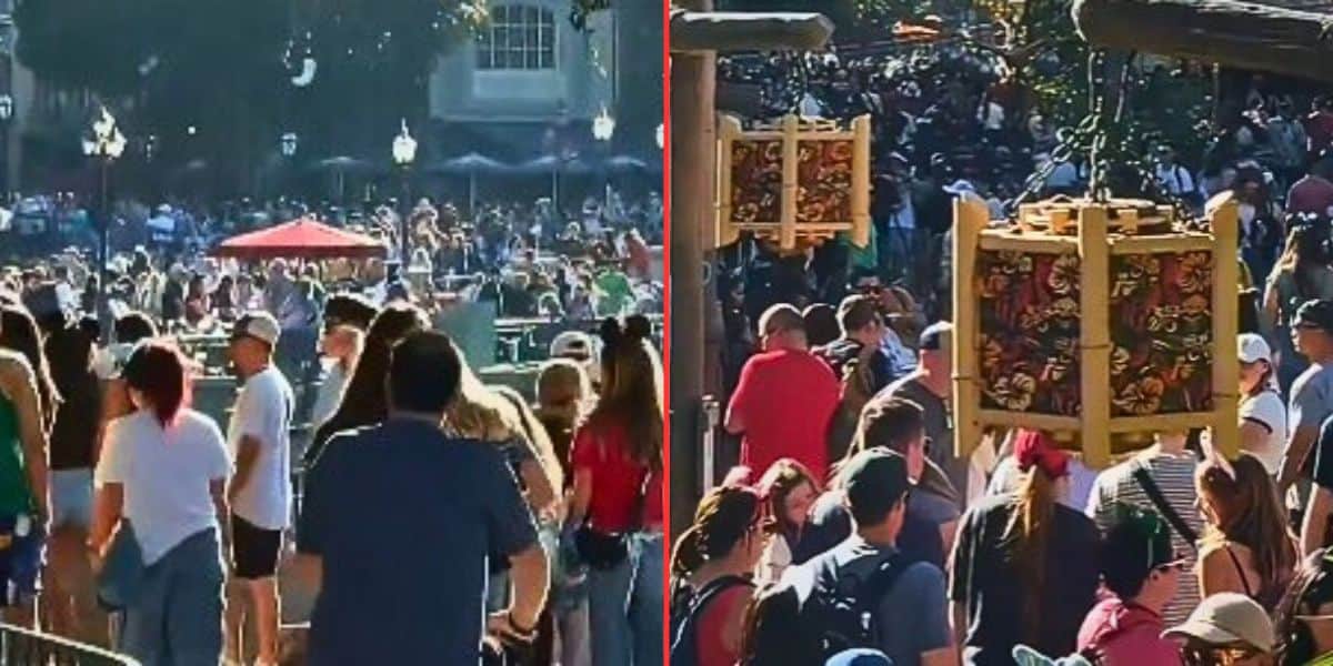 Caos Navideño en Disney: ¡Turistas Aterrados Revelan Peligro!