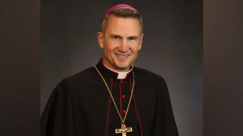 Movimiento Estratégico del Vaticano: Hicks Reemplaza a Dolan en NY