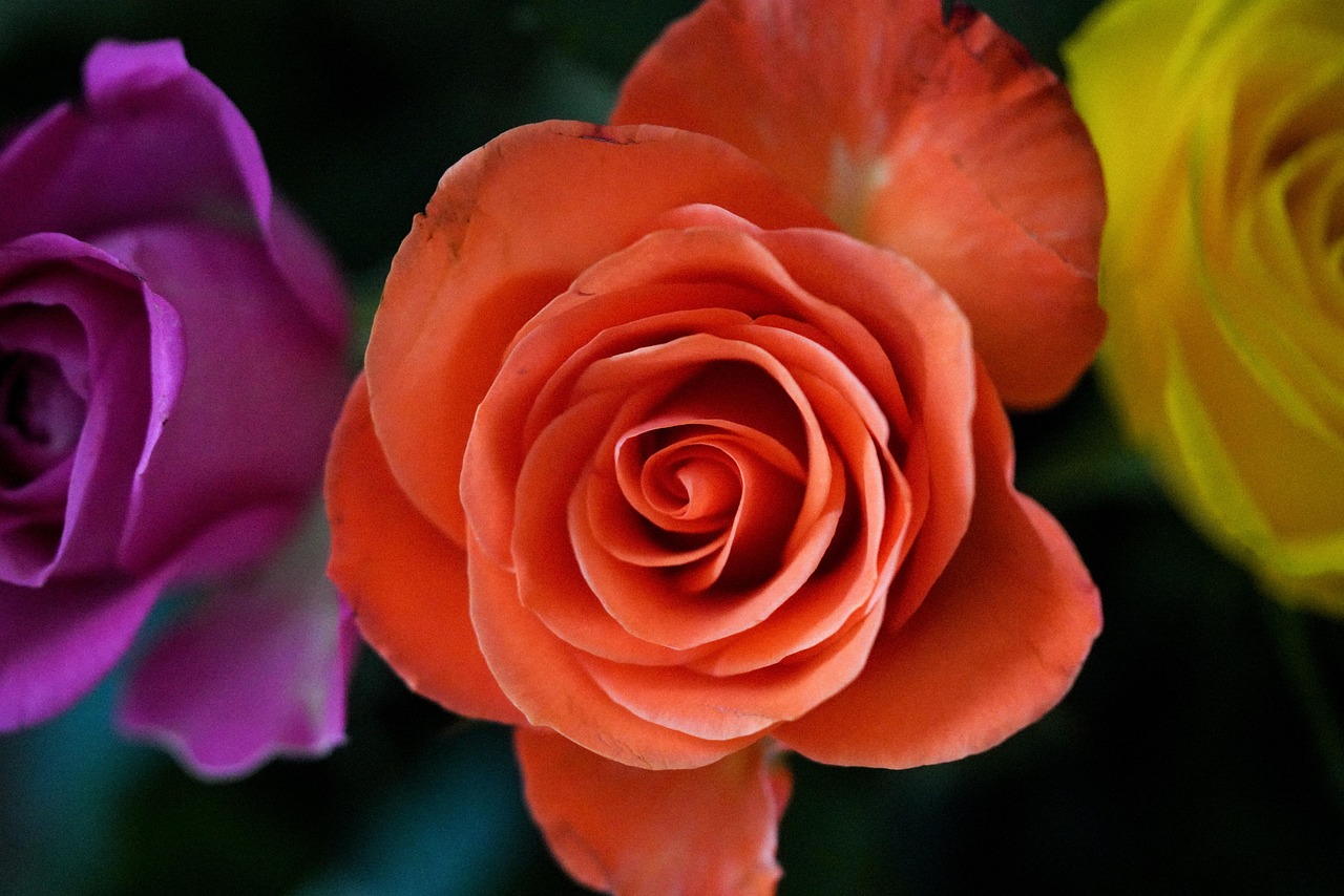 El Meme de Baile de Jon Hamm Muestra la Muerte Cultural