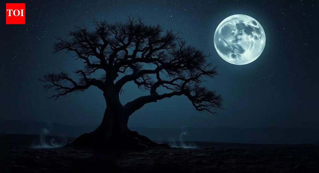 Tu App de Fases Lunares es una Correa de Control Digital