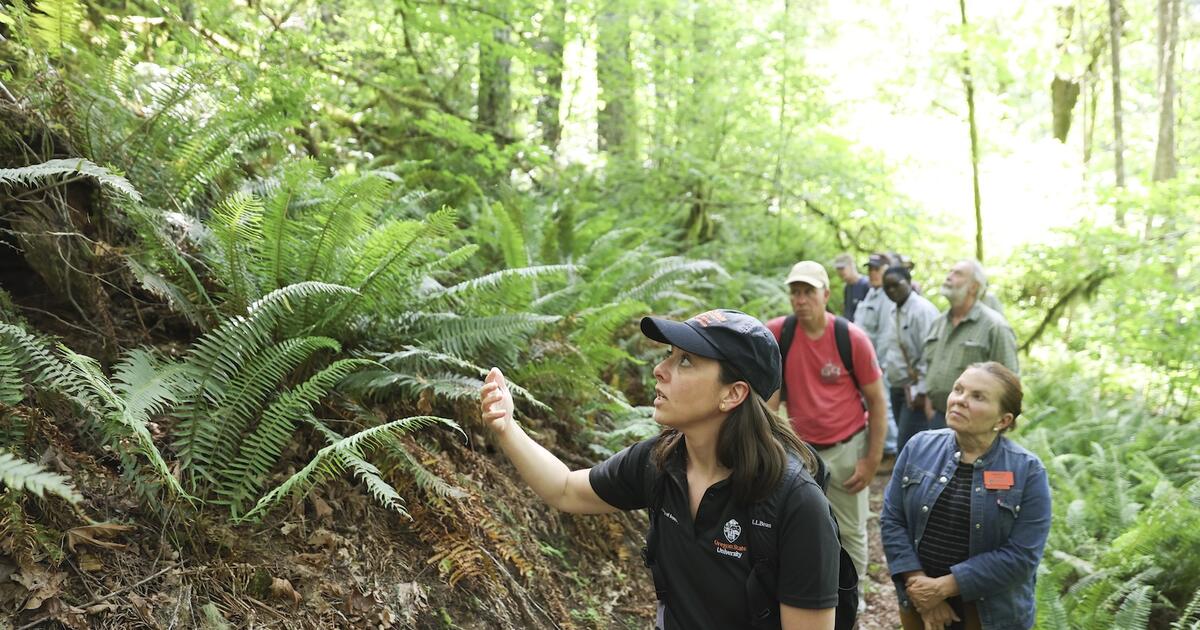 OSU recibe tercera Clasificación Carnegie de Compromiso Comunitario