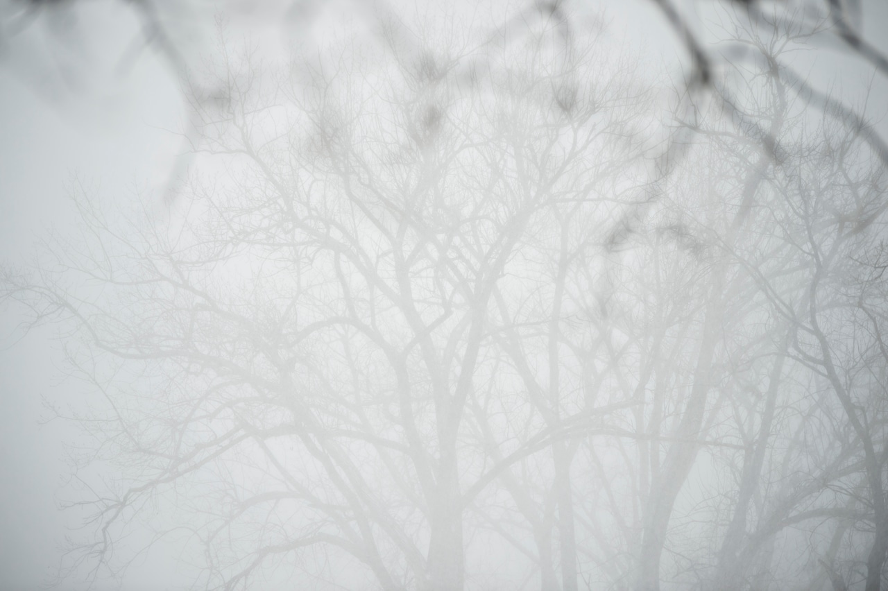 Avalancha de autos en Michigan cierra I-196 por nieve