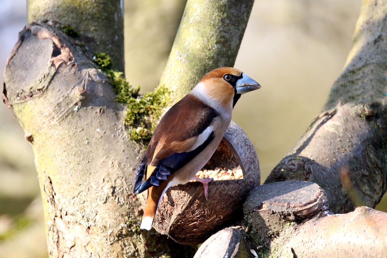 Niebla Causa Retrasos Escolares en Kern County; Acusan a Policía de BPD