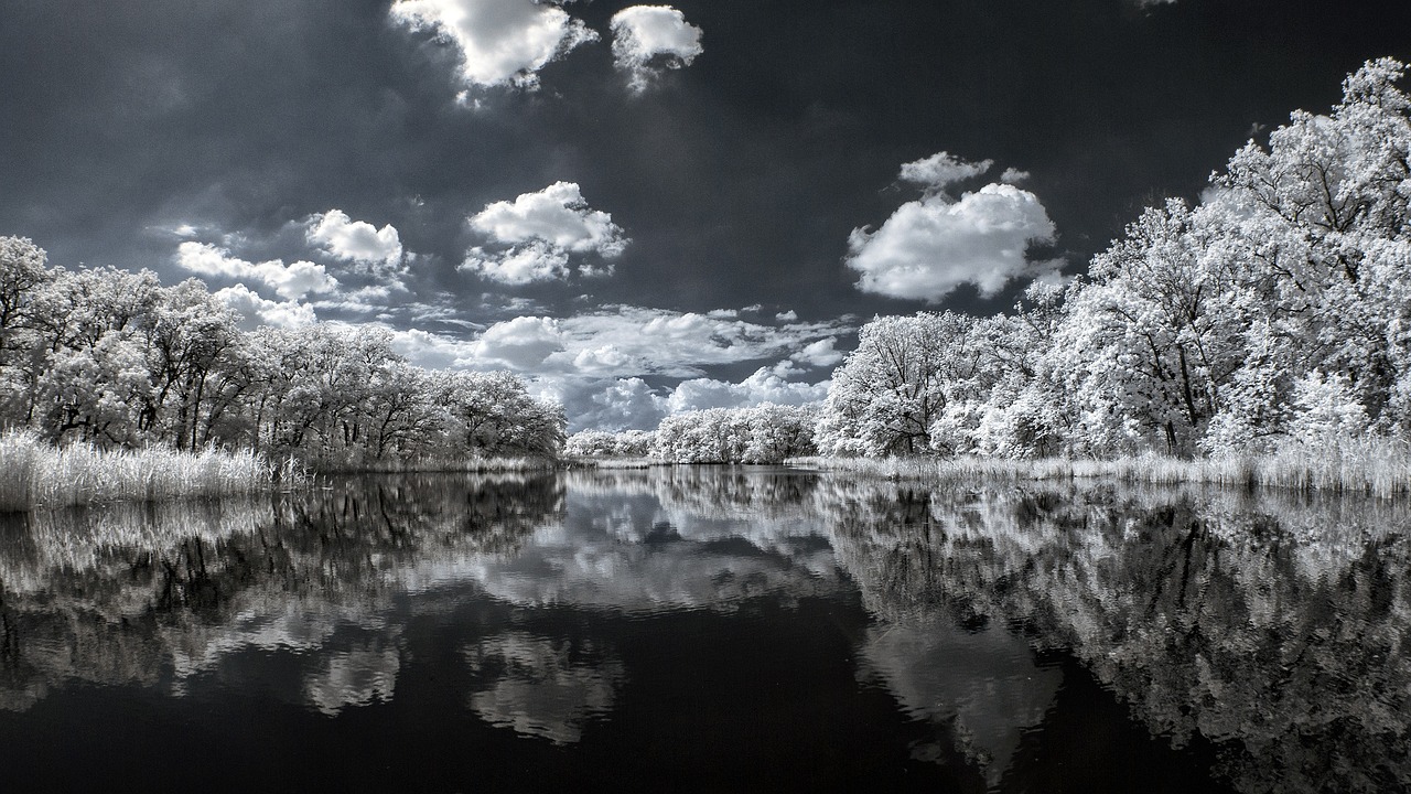 Líder del IRS Reorganiza Agencia Ante Temporada Fiscal 2026