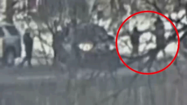 Alcalde Minneapolis Trump Escándalo ICE Verdad